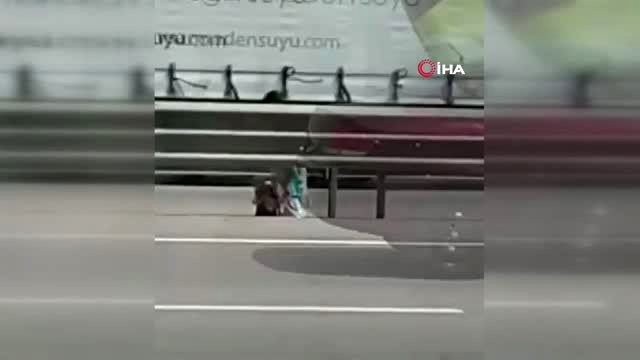 Yolun karşısına geçemeyen köpeğin yardımına böyle koştular