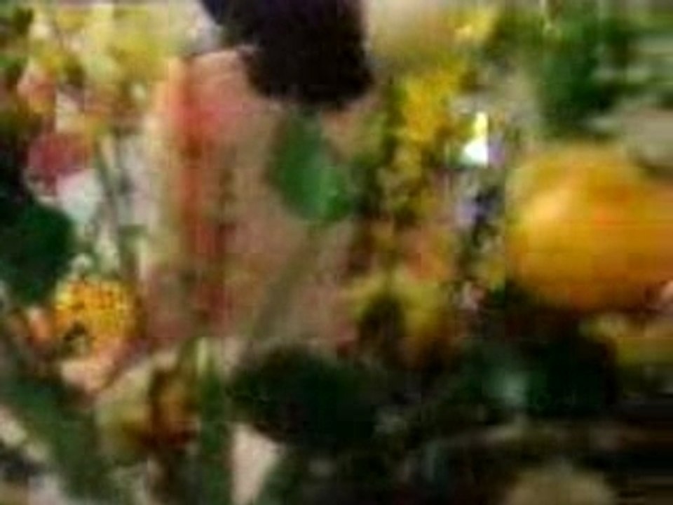 Mariage nick et sharon