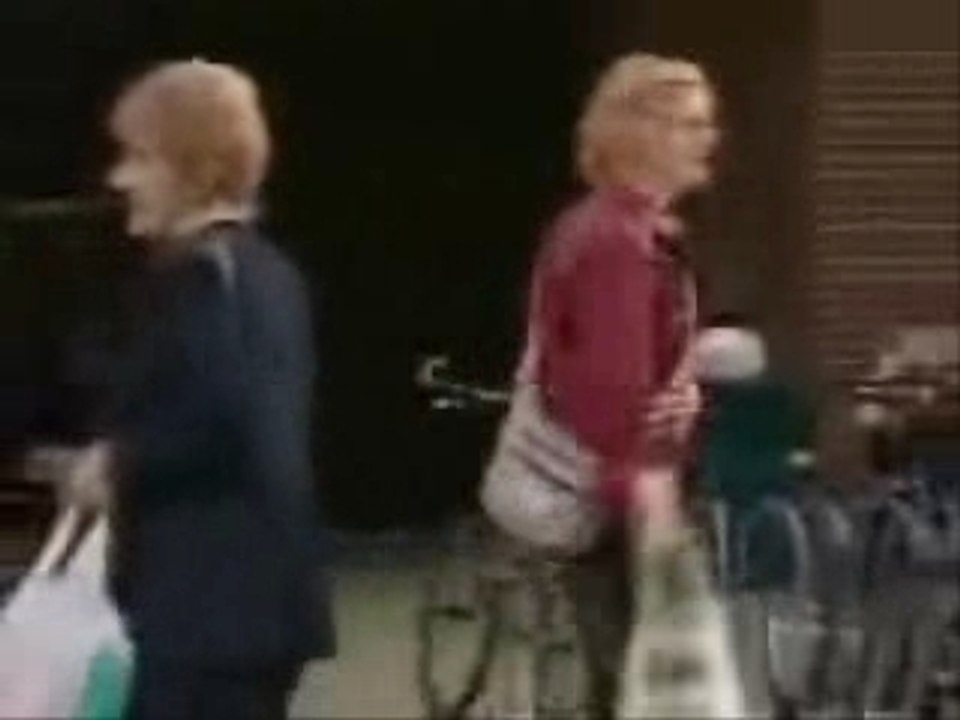 Levende vogelverschikkerq