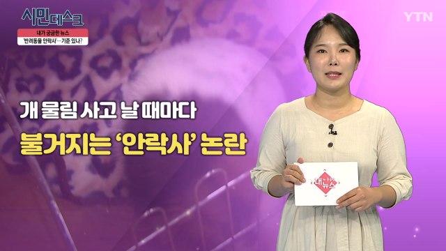 [8월 4일 시민데스크] 내가 궁금한 뉴스 - 반려동물 안락사 / YTN