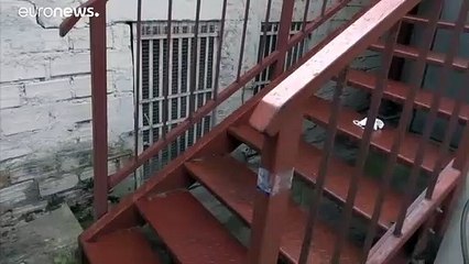 Detidos suspeitos de ataque mortal em discoteca