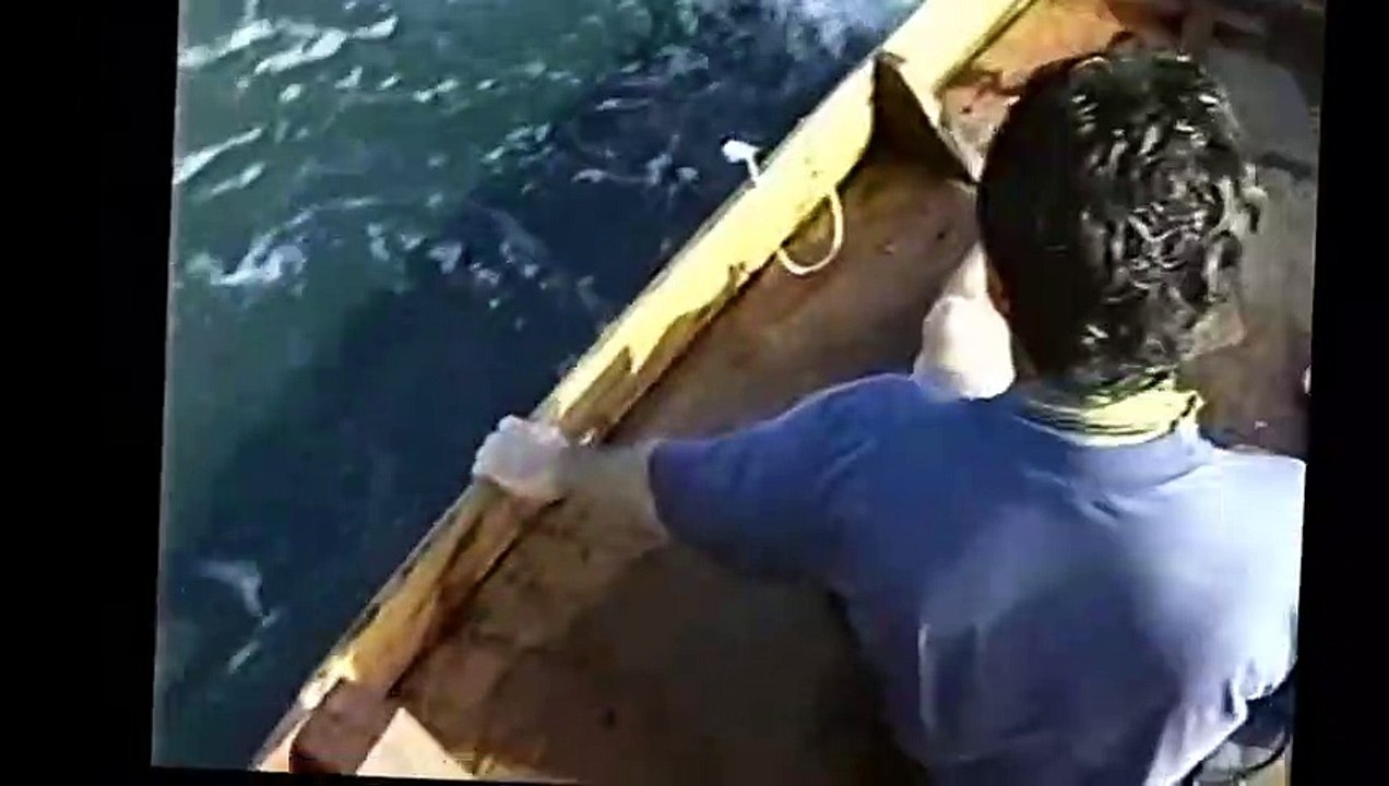 Une baleine menace de renverser un bateau de pecheurs