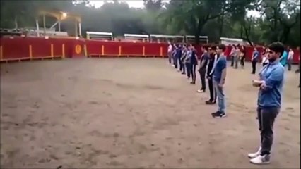 Si vous ne bougez pas, un taureau ne vous fera aucun mal... La preuve