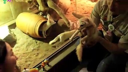 금산출장안마 -후불100%ョO7OV7301V9649｛카톡CS69｝ 금산전지역출장안마 금산오피걸 금산출장마사지 금산출장안마 금산출장마사지 금산출장콜걸샵안마へゑ≮