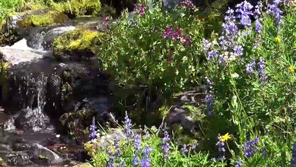 Karaoke Bong Dang Me Hien