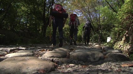 폭염 속 산행 탈진 주의...심혈관 질환자 위험 / YTN