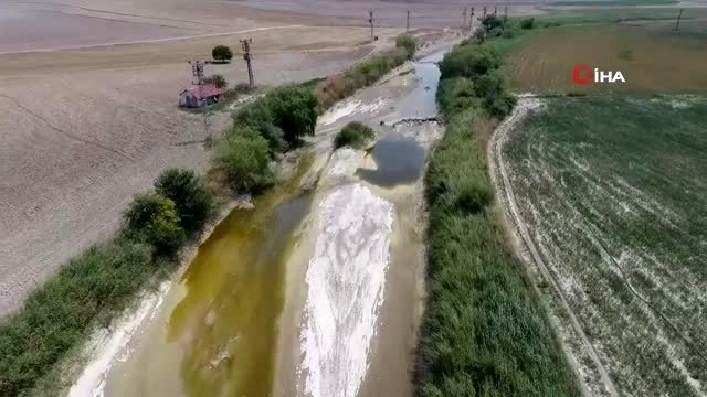 Tarlada kilosu 50 kuruştan satılıyor...Yaz soğanı hasadı havadan görüntülendi