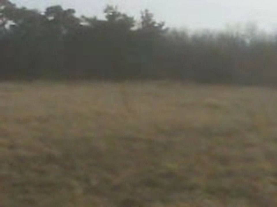 moi en quad   350 warrior