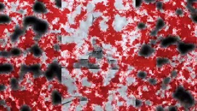 Un video de piru saez