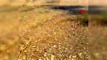 MUĞLA Datça'da 5 dönüm makilik alan yandı