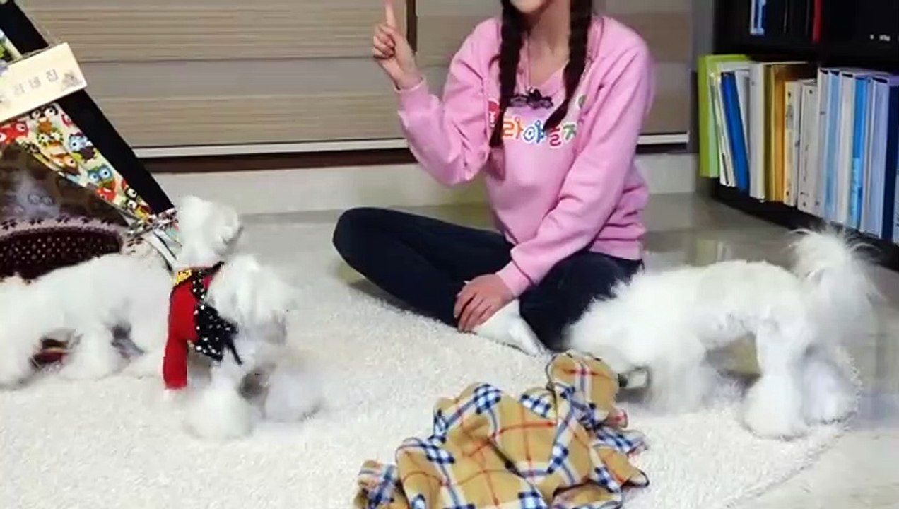 충북출장안마 -후불100%ョOiON2659N1768｛카톡SN92｝ 충북전지역출장안마 충북오피걸 충북출장마사지 충북출장안마 충북출장마사지 충북출장콜걸샵안마 충북출장아로마 ⊎∦⾶