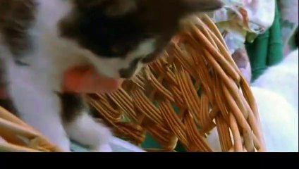 정읍출장안마 -후불100%ョØ1ØM7685M6221｛카톡MGM1472｝ 정읍전지역출장안마 정읍오피걸 정읍출장마사지 정읍출장안마 정읍출장마사지 정읍출장콜걸샵안마≆≄≎