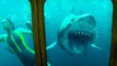 47 Meters Down: Uncaged - Official Final Trailer