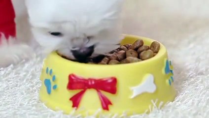 남동출장안마 -후불100%ョOiOV2671V8135｛카톡AQ52｝ 남동전지역출장안마 남동오피걸 남동출장마사지 남동안마 남동출장마사지 남동콜걸샵の∾∹