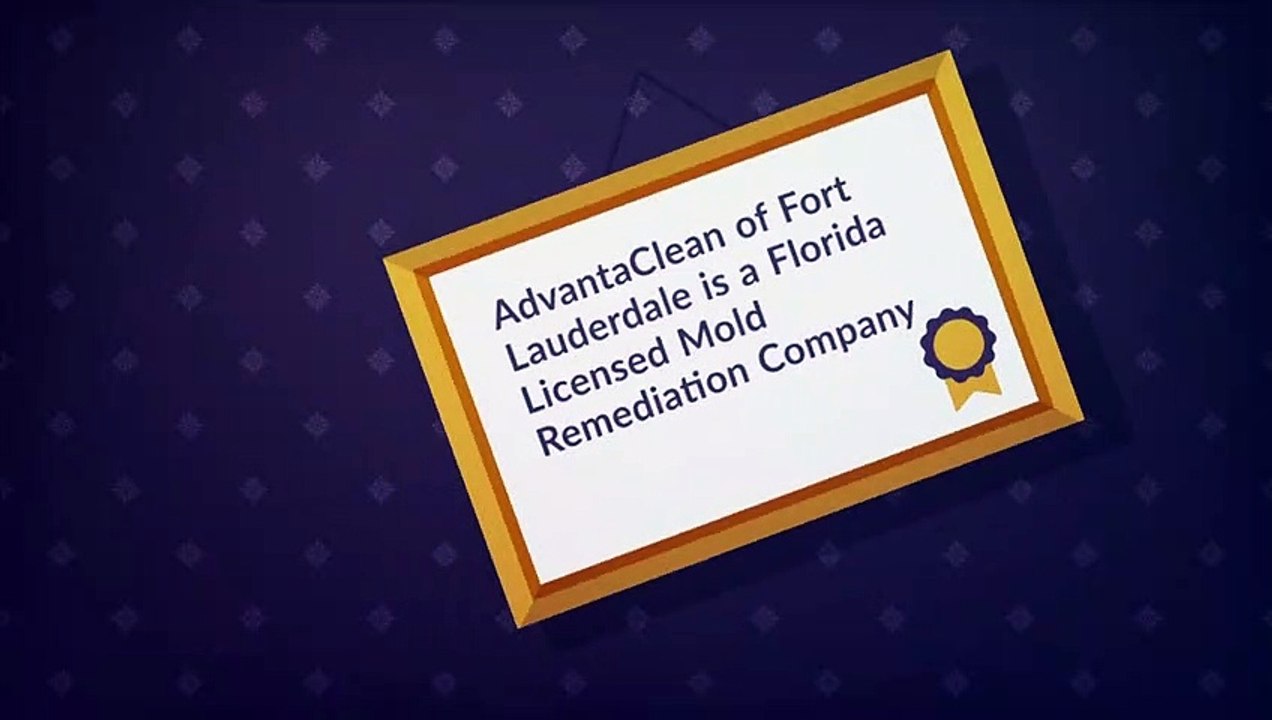 Fort Lauderdale Mold Remediation, Water Damage Repair, Air Duct Cleaning