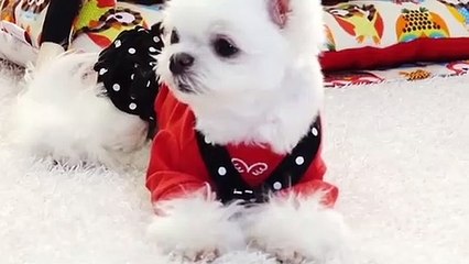 장흥출장안마 -후불100%ョOiON2659N1768｛카톡SN92｝ 장흥전지역출장안마 장흥오피걸 장흥출장마사지 장흥안마 장흥출장마사지 장흥콜걸샵⺦⊍⻒