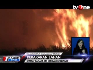 Sempat Padam, Api Kembali Berkobar Bakar Lahan Palangkaraya