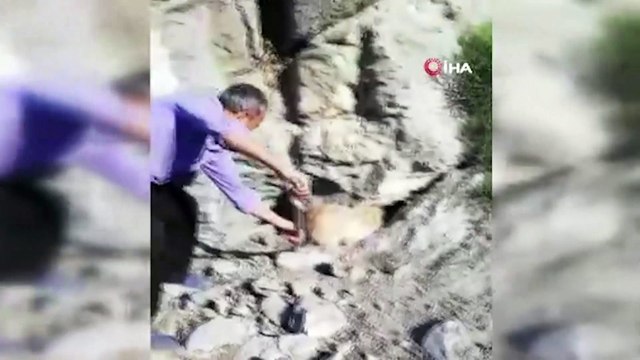Mahsur kalan köpeği kurtarma 'kazısı'