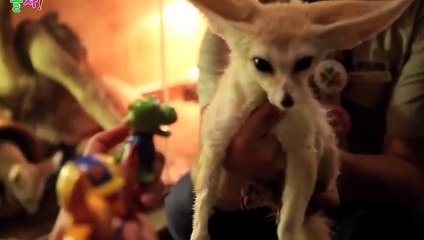 태종대출장안마 -후불100%ョØ1ØZ7362Z3210｛카톡RQ43｝ 태종대전지역출장안마 태종대오피걸 태종대출장마사지 태종대안마 태종대출장마사지 태종대콜걸샵◨∤◔