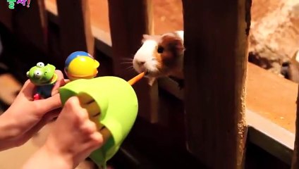 당진출장안마 -후불100%ョØ7ØW7333W9649｛카톡LGT010｝ 당진전지역출장안마 당진오피걸 당진출장마사지 당진출장안마 당진출장마사지 당진출장콜걸샵안마は⺸㌙