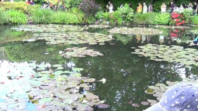 Claude Monet 2-2 Famed Lily Pond, Giverny Town, Monet Arts, France 3, 30 MAY 2019
