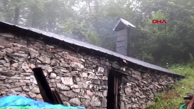 TRABZON ORMANDA TEK BAŞINA YAŞAYAN 'ROBİNSON NİNENİN' BAŞI AYILARLA DERTTE