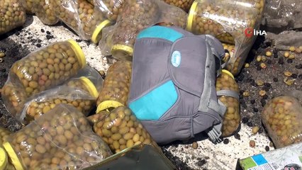 Zeytin yüklü araç takla attı: 2'si ağır 7 yaralı