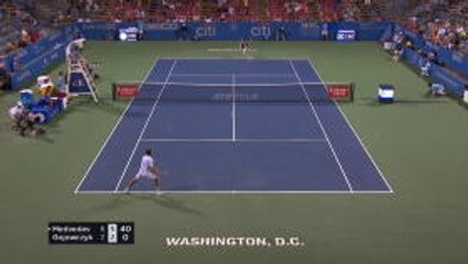 Medvedev reaches Washington final