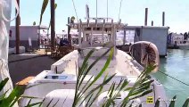 2019 Everglades 335 Center Console - Walkthrough - 2019 Miami Boat Show