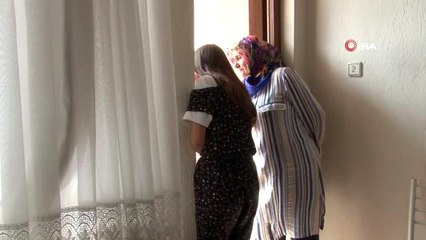 Balkona yumurtlayan güvercine aile bireyleri gibi sahip çıktılar