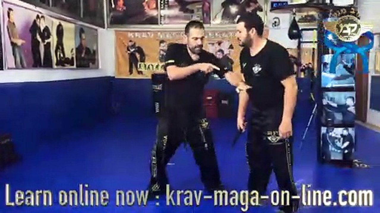 Krav-maga-on-line.com Blue Belt Program  - Expert Alain Cohen