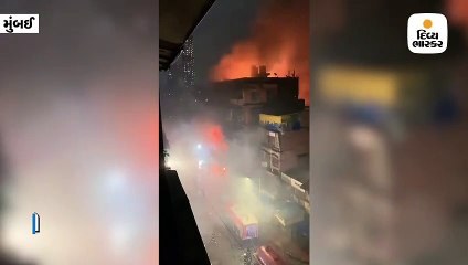 બિલ્ડિંગમાં લાગેલી આગને કલાકોની જહેમત બાદ ફાયર બ્રિગેડે કાબૂમાં લીધી