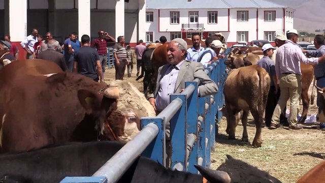 Kurban pazarlarında bayram öncesi yoğunluk - ERZURUM/ARDAHAN