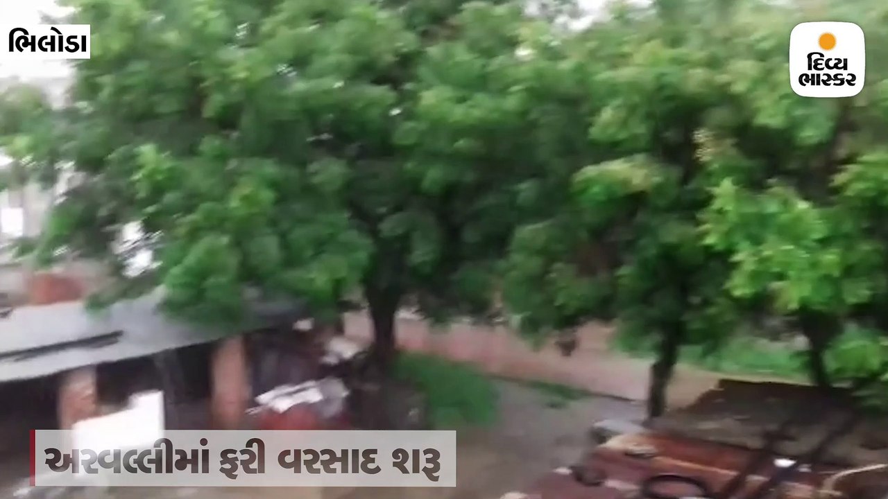 અરવલ્લીના મેઘરજ અને શામળાજીમાં મેઘરાજાની ધમાકેદાર એન્ટ્રી, ભિલોડામાં પણ વરસાદ
