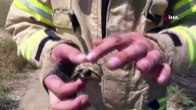 Otları yakmanın hiç bir faydası yok, bütün canlıları ateşe atmış oluyorsunuz