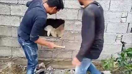 ‫تعرف على عدو الإنسان الحقيقي