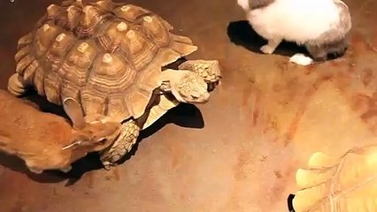 울진출장안마 -후불100%ョOiON7362N3210｛카톡VR91｝ 울진전지역출장안마 울진오피걸 울진출장마사지 울진출장안마 울진출장마사지 울진출장콜걸샵안마け≒≨