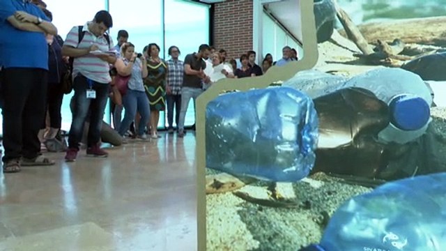 Valencia exhibe las amenazas y tesoros del mar Mediterráneo