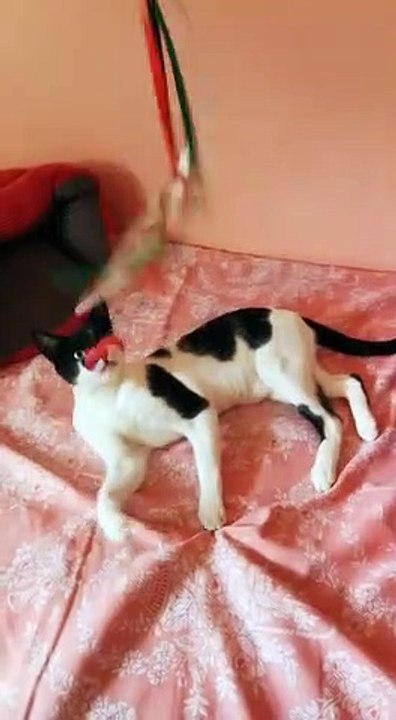 nilo