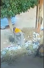 شاهد.. نباش قمامة وزوجته يسرقان غطاء بيارة صرف صحى بطنطا