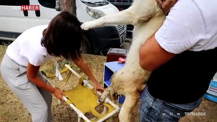 Plastik borularla yapılan yürüteç ayakları oldu