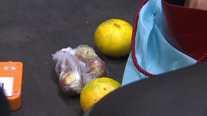 "해외 여행시 생 과일류 반입 금지" 당부 / YTN