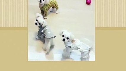 경기출장안마 -후불100%ョOiOW2671W8135｛카톡LA369｝ 경기전지역출장안마 경기오피걸 경기출장마사지 경기안마 경기출장마사지 경기콜걸샵㌥㌩≦