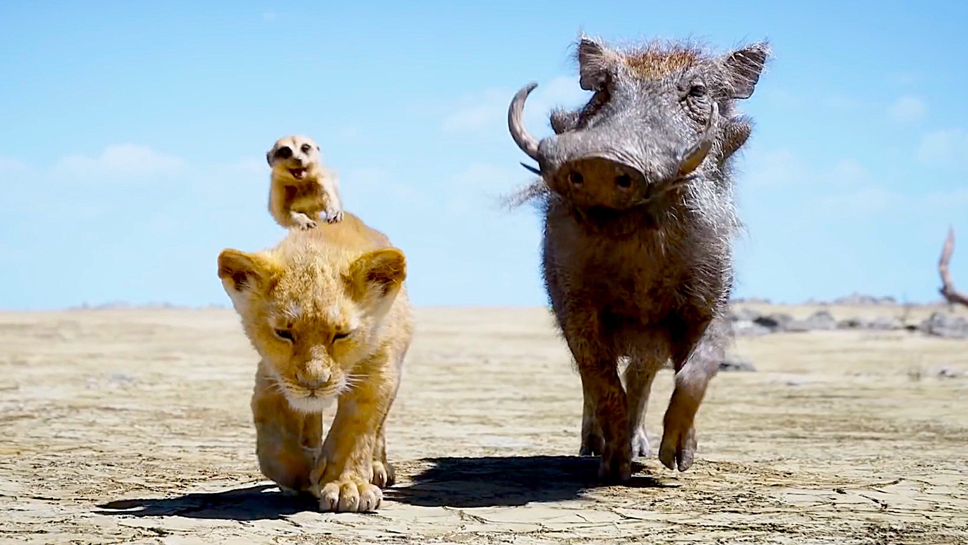 Timon And Pumbaa (Disney's The Lion King Live Action) | medicproapp.com