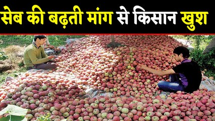सेब की बढ़ती मांग से किसान में खुशी की लहर | वनइंडिया हिंदी