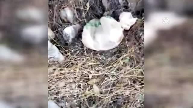 Bucak'ta yol kenarına atılmış çuval içinde yavru köpek kurtarıldı
