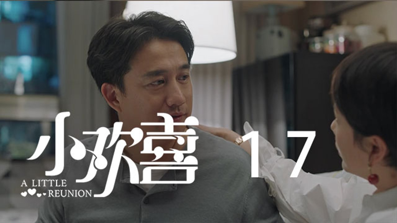 小歡喜 17  A Little Reunion 17（黃磊、海清、陶虹等主演）