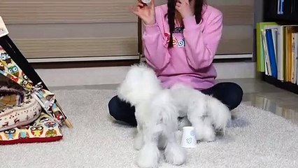곡성출장안마 -후불100%ョOiOE7685E6221｛카톡PP888｝ 곡성전지역출장안마 곡성오피걸 곡성출장마사지 곡성안마 곡성출장마사지 곡성콜걸샵◦⾥へ