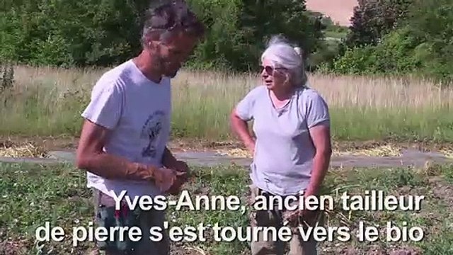 Des couveuses pour aider des agriculteurs à s'installer
