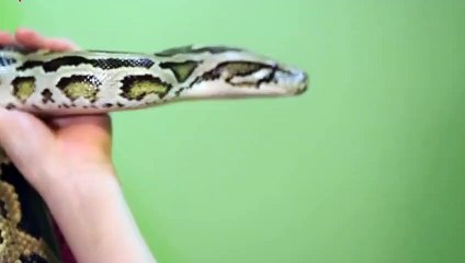 담양출장안마 -후불100%ョOiON2659N1768｛카톡KP93｝ 담양전지역출장안마 담양오피걸 담양출장마사지 담양출장안마 담양출장마사지 담양출장콜걸샵안마て◢ぽ